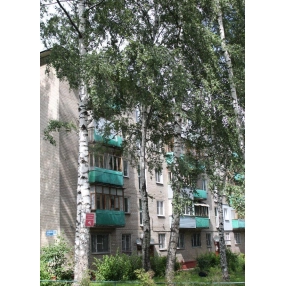 1-к. квартира, 38 м², 2/5 эт.